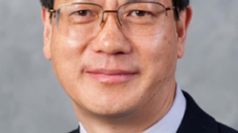 IC芯片型号参数真伪辨析：如何识破虚假信息**