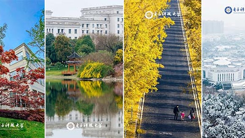 电子代工代加工：揭秘加盟代理背后的关键条件