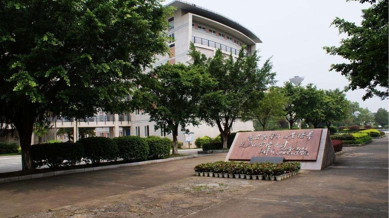 电子产品行业市场份额排名：揭秘前十的奥秘**